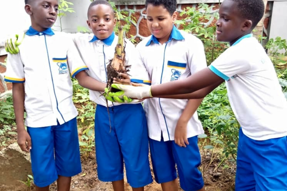 finissants du primaire de l’Académie des Sciences et des Technologies (ASCITECH) de Kinshasa se sont entrepris dans un projet d’agriculture vivrière.